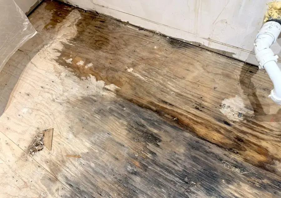 Water-stained subfloor and baseboard exposed after the flooring was pulled up