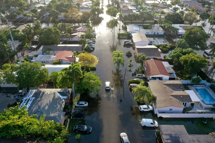 Aerial view of a palm-lined Florida neighborhood with floodwater covering the streets