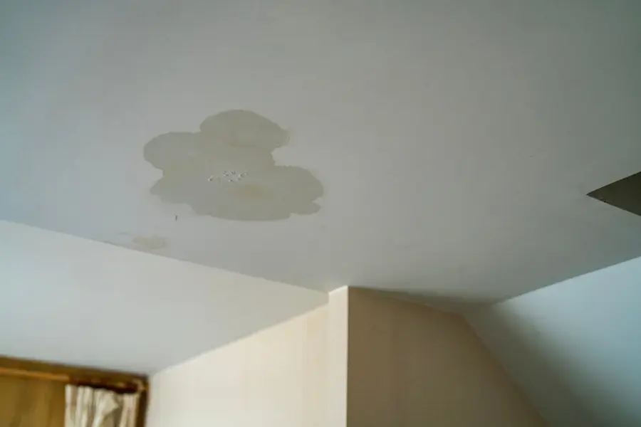 Brown water stain spreading across a white ceiling near a doorway