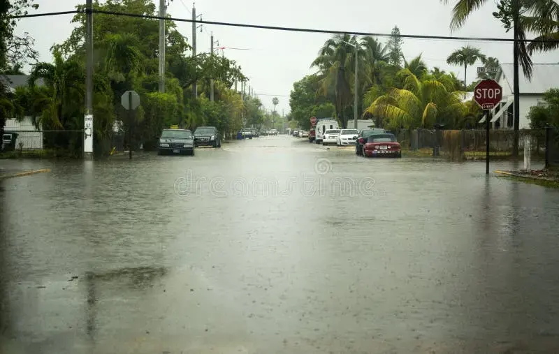 Floodwater covering a residential street lined with palms after heavy rain