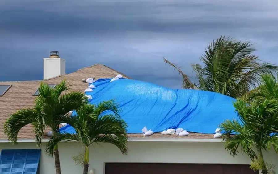 Blue tarp weighted with sandbags over a storm-damaged roof beside palm trees