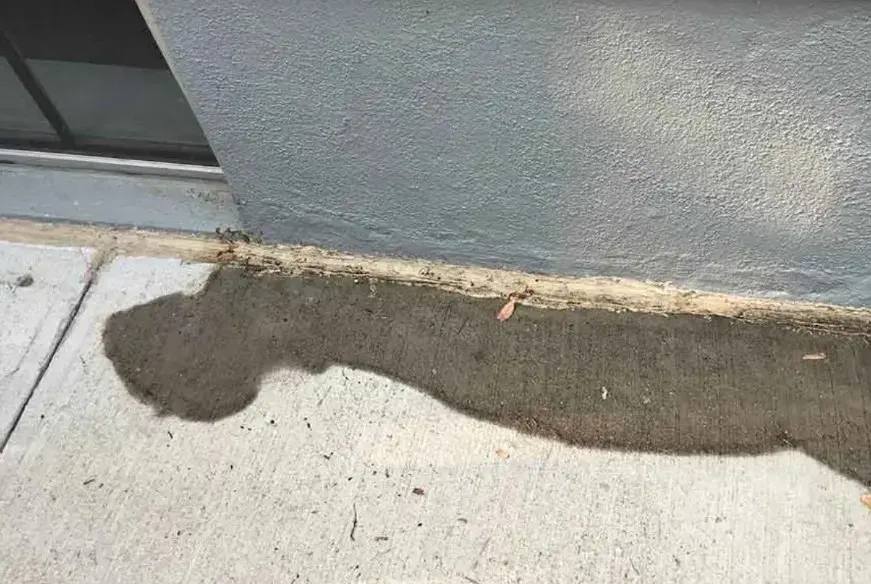 Water seeping up through a concrete slab floor along the base of a wall